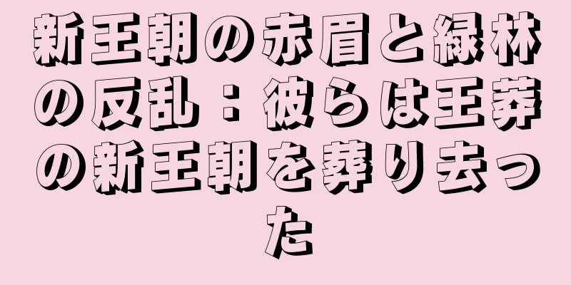 新王朝の赤眉と緑林の反乱：彼らは王莽の新王朝を葬り去った