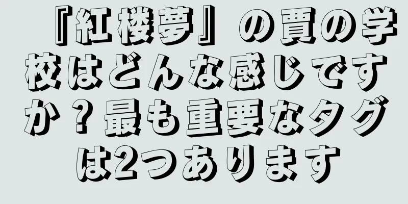 『紅楼夢』の賈の学校はどんな感じですか？最も重要なタグは2つあります
