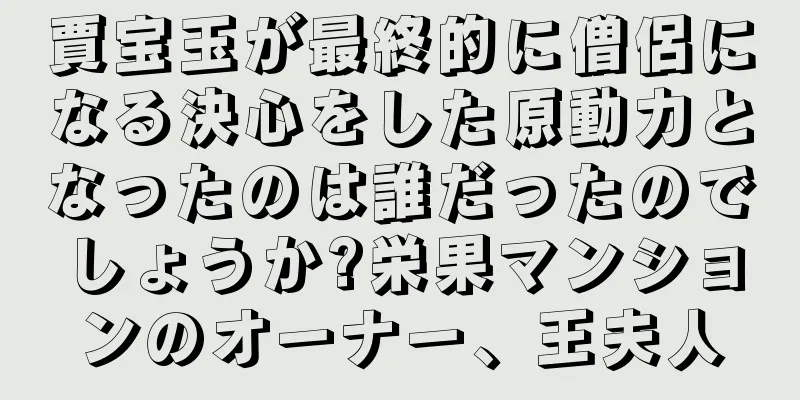 賈宝玉が最終的に僧侶になる決心をした原動力となったのは誰だったのでしょうか?栄果マンションのオーナー、王夫人