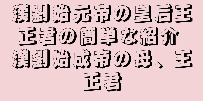 漢劉始元帝の皇后王正君の簡単な紹介 漢劉始成帝の母、王正君