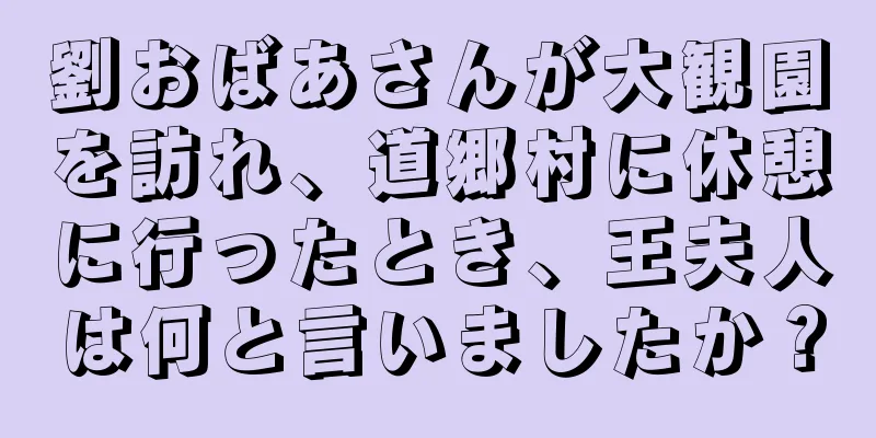 劉おばあさんが大観園を訪れ、道郷村に休憩に行ったとき、王夫人は何と言いましたか？