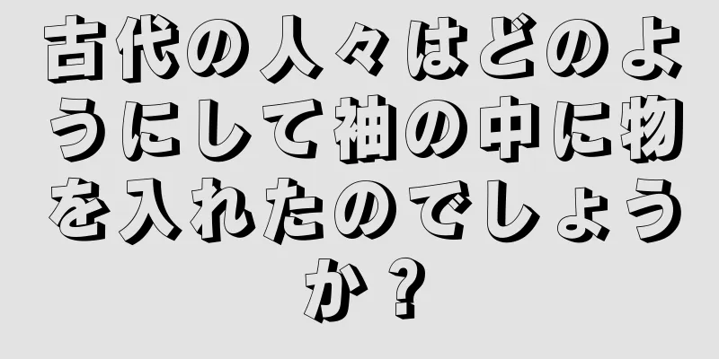 古代の人々はどのようにして袖の中に物を入れたのでしょうか？