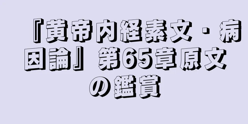 『黄帝内経素文・病因論』第65章原文の鑑賞