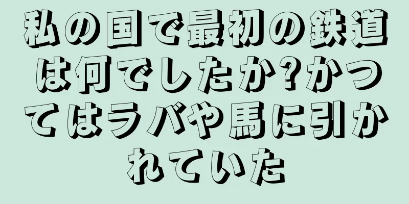 私の国で最初の鉄道は何でしたか?かつてはラバや馬に引かれていた
