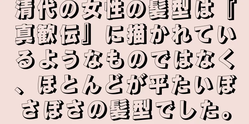 清代の女性の髪型は『真歓伝』に描かれているようなものではなく、ほとんどが平たいぼさぼさの髪型でした。