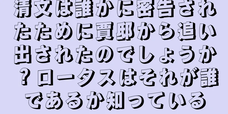 清文は誰かに密告されたために賈邸から追い出されたのでしょうか？ロータスはそれが誰であるか知っている