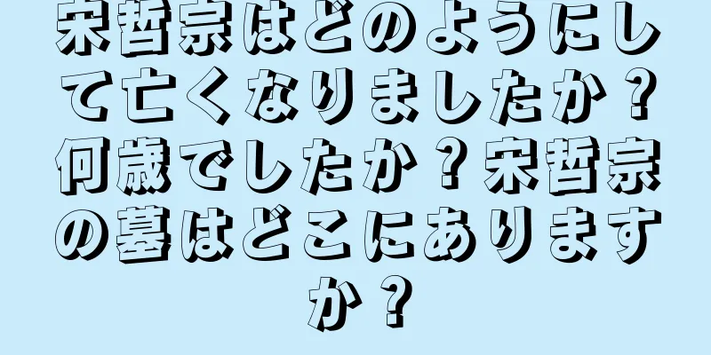 宋哲宗はどのようにして亡くなりましたか？何歳でしたか？宋哲宗の墓はどこにありますか？