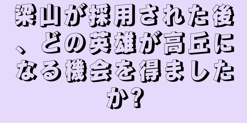 梁山が採用された後、どの英雄が高丘になる機会を得ましたか?