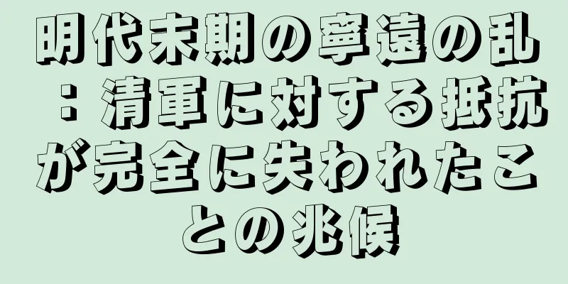 明代末期の寧遠の乱：清軍に対する抵抗が完全に失われたことの兆候