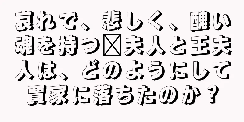 哀れで、悲しく、醜い魂を持つ邢夫人と王夫人は、どのようにして賈家に落ちたのか？