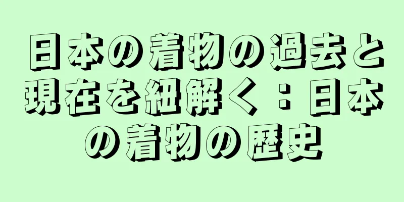日本の着物の過去と現在を紐解く：日本の着物の歴史