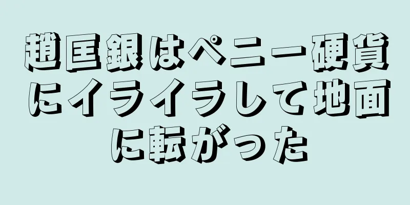趙匡銀はペニー硬貨にイライラして地面に転がった