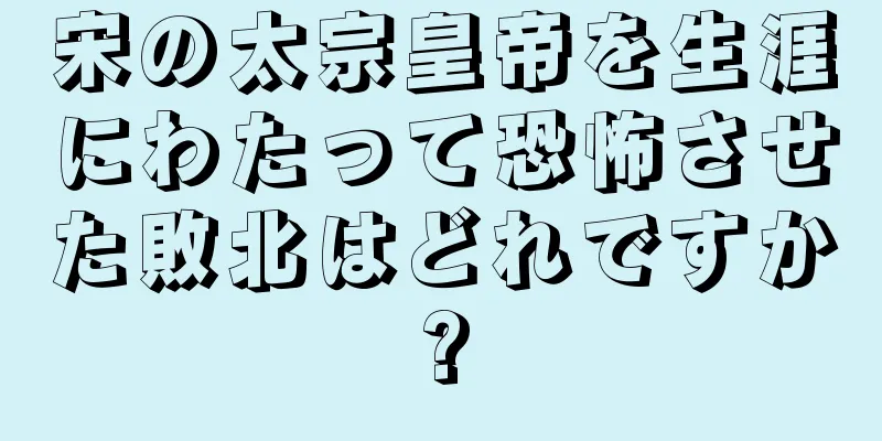 宋の太宗皇帝を生涯にわたって恐怖させた敗北はどれですか?