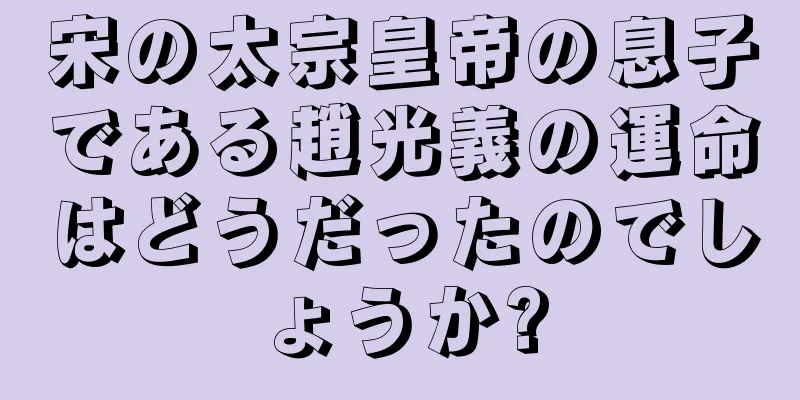 宋の太宗皇帝の息子である趙光義の運命はどうだったのでしょうか?