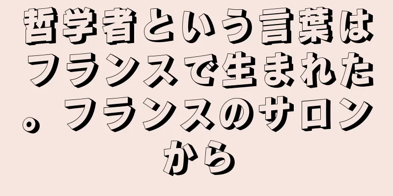 哲学者という言葉はフランスで生まれた。フランスのサロンから