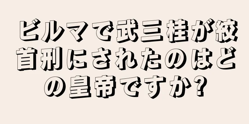 ビルマで武三桂が絞首刑にされたのはどの皇帝ですか?