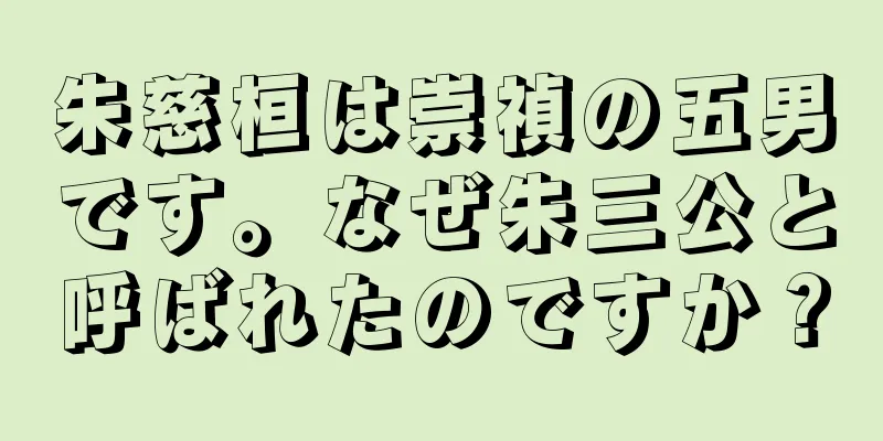 朱慈桓は崇禎の五男です。なぜ朱三公と呼ばれたのですか？