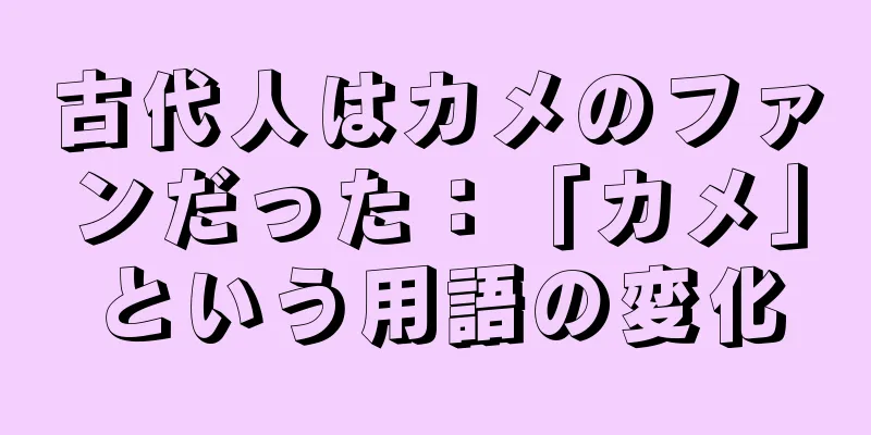 古代人はカメのファンだった：「カメ」という用語の変化