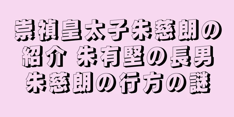 崇禎皇太子朱慈朗の紹介 朱有堅の長男朱慈朗の行方の謎