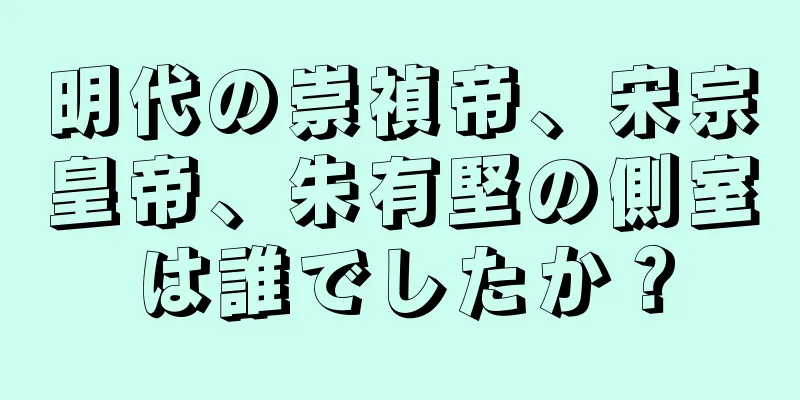 明代の崇禎帝、宋宗皇帝、朱有堅の側室は誰でしたか？