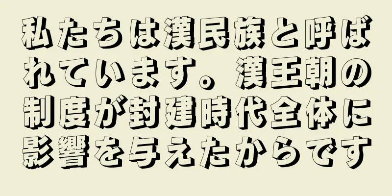 私たちは漢民族と呼ばれています。漢王朝の制度が封建時代全体に影響を与えたからです