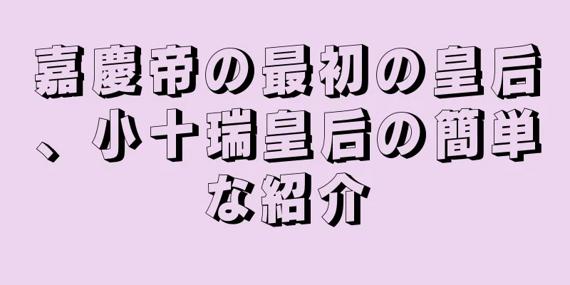 嘉慶帝の最初の皇后、小十瑞皇后の簡単な紹介
