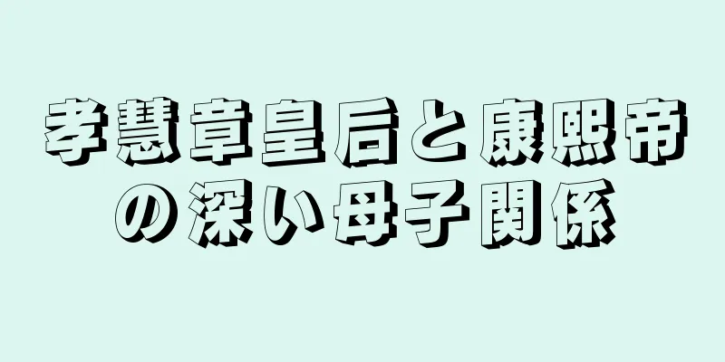 孝慧章皇后と康熙帝の深い母子関係