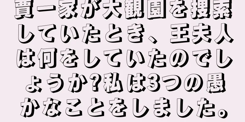 賈一家が大観園を捜索していたとき、王夫人は何をしていたのでしょうか?私は3つの愚かなことをしました。