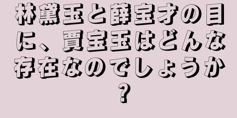 林黛玉と薛宝才の目に、賈宝玉はどんな存在なのでしょうか？