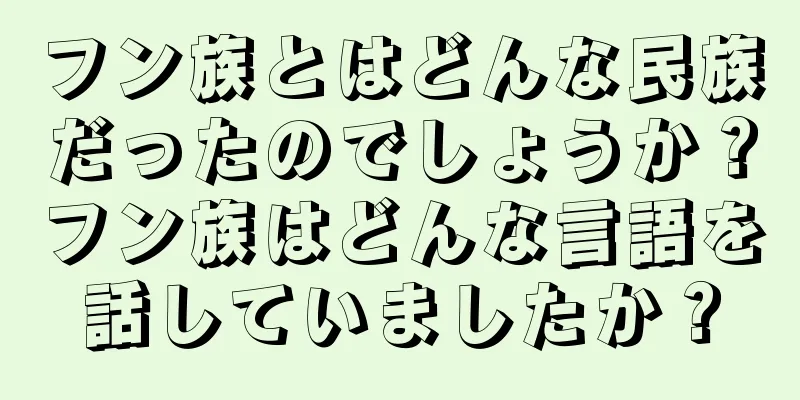 フン族とはどんな民族だったのでしょうか？フン族はどんな言語を話していましたか？
