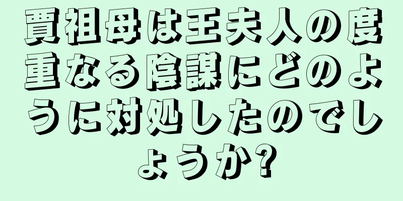 賈祖母は王夫人の度重なる陰謀にどのように対処したのでしょうか?
