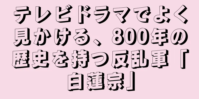 テレビドラマでよく見かける、800年の歴史を持つ反乱軍「白蓮宗」