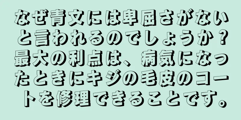 なぜ青文には卑屈さがないと言われるのでしょうか？最大の利点は、病気になったときにキジの毛皮のコートを修理できることです。