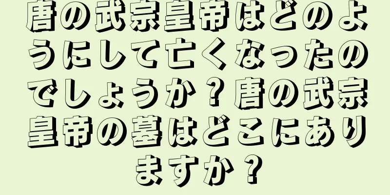 唐の武宗皇帝はどのようにして亡くなったのでしょうか？唐の武宗皇帝の墓はどこにありますか？