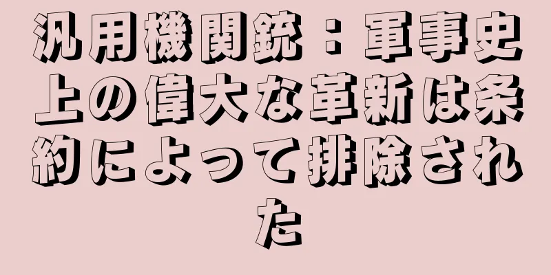 汎用機関銃：軍事史上の偉大な革新は条約によって排除された