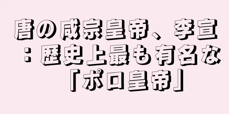 唐の咸宗皇帝、李宣：歴史上最も有名な「ポロ皇帝」