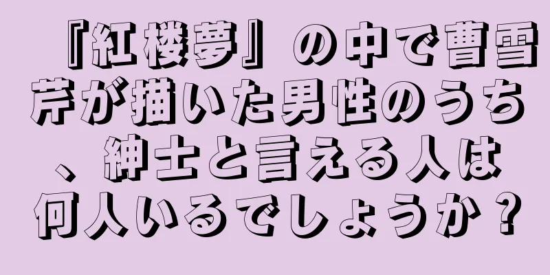 『紅楼夢』の中で曹雪芹が描いた男性のうち、紳士と言える人は何人いるでしょうか？