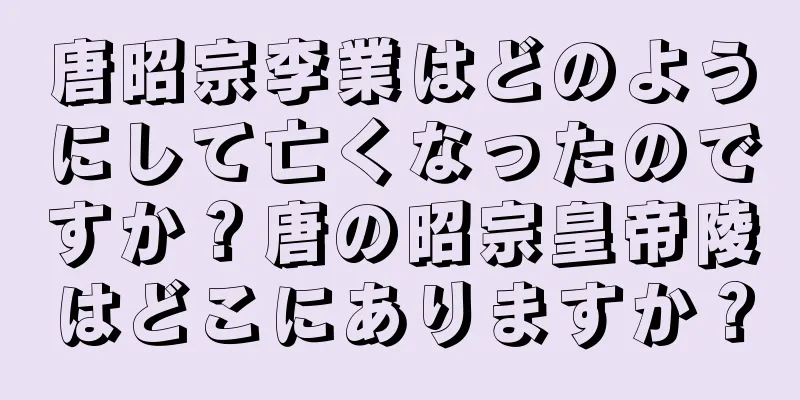 唐昭宗李業はどのようにして亡くなったのですか？唐の昭宗皇帝陵はどこにありますか？