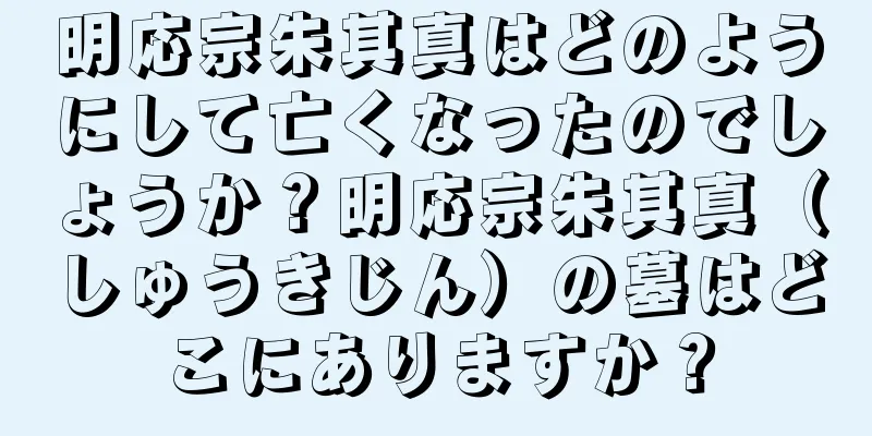 明応宗朱其真はどのようにして亡くなったのでしょうか？明応宗朱其真（しゅうきじん）の墓はどこにありますか？