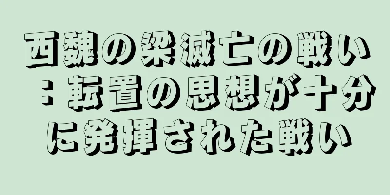 西魏の梁滅亡の戦い：転置の思想が十分に発揮された戦い