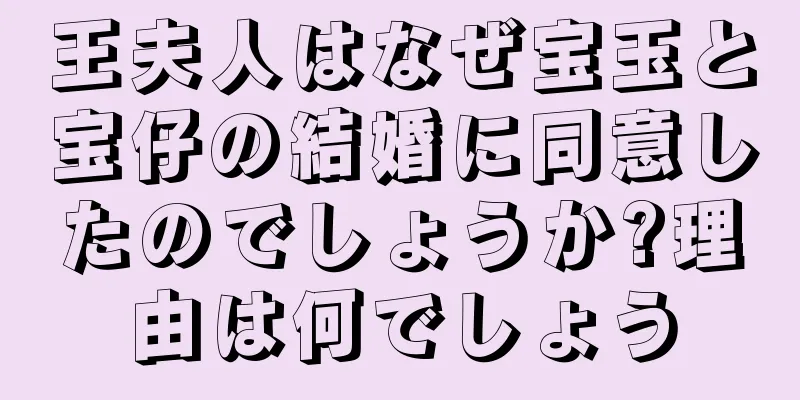 王夫人はなぜ宝玉と宝仔の結婚に同意したのでしょうか?理由は何でしょう