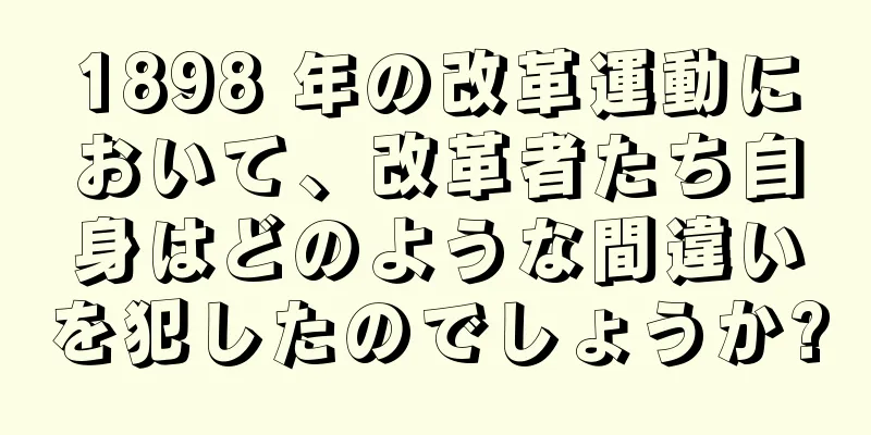1898 年の改革運動において、改革者たち自身はどのような間違いを犯したのでしょうか?
