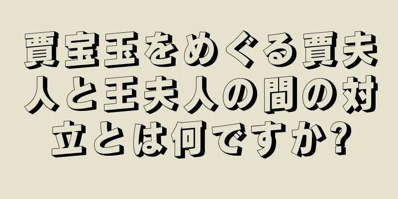 賈宝玉をめぐる賈夫人と王夫人の間の対立とは何ですか?
