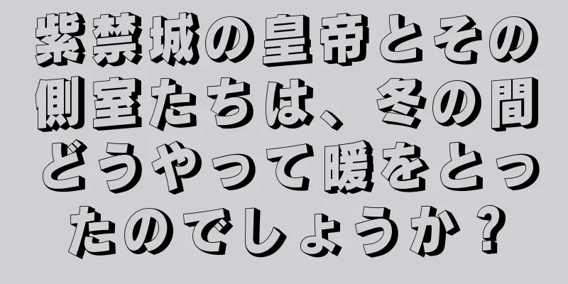 紫禁城の皇帝とその側室たちは、冬の間どうやって暖をとったのでしょうか？