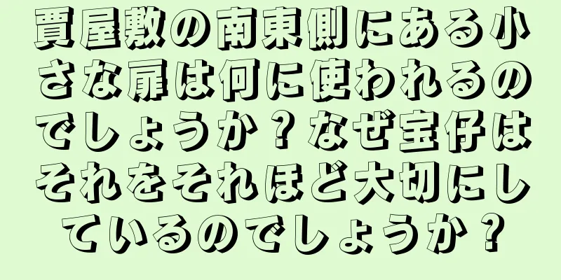 賈屋敷の南東側にある小さな扉は何に使われるのでしょうか？なぜ宝仔はそれをそれほど大切にしているのでしょうか？