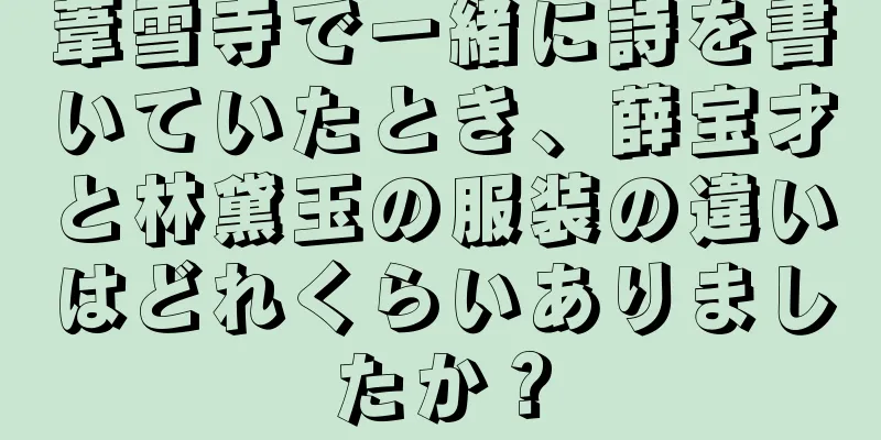 葦雪寺で一緒に詩を書いていたとき、薛宝才と林黛玉の服装の違いはどれくらいありましたか？