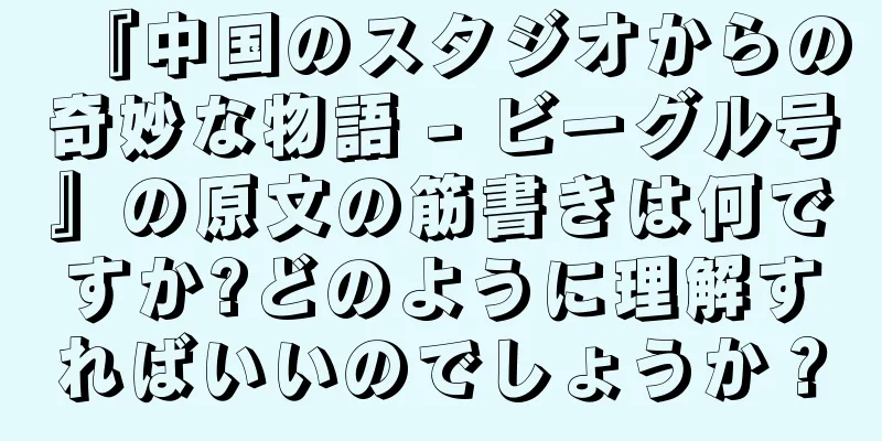 『中国のスタジオからの奇妙な物語 - ビーグル号』の原文の筋書きは何ですか?どのように理解すればいいのでしょうか？