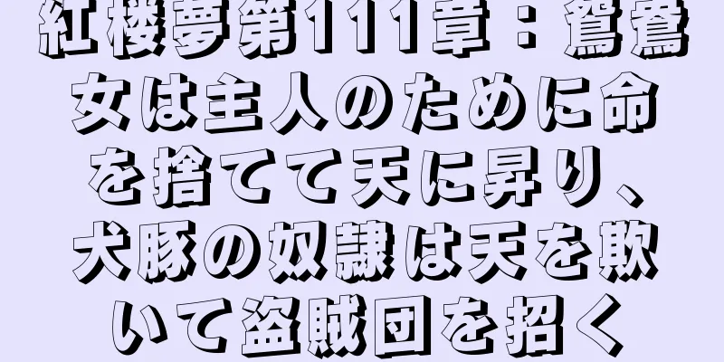紅楼夢第111章：鴛鴦女は主人のために命を捨てて天に昇り、犬豚の奴隷は天を欺いて盗賊団を招く