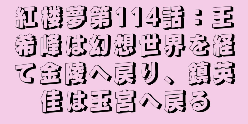 紅楼夢第114話：王希峰は幻想世界を経て金陵へ戻り、鎮英佳は玉宮へ戻る