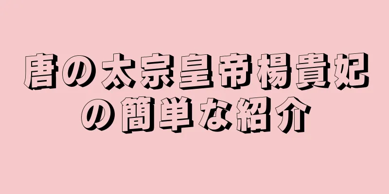唐の太宗皇帝楊貴妃の簡単な紹介